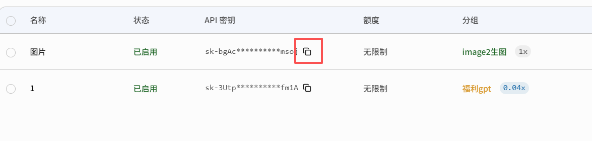 复制创建好的 API 密钥